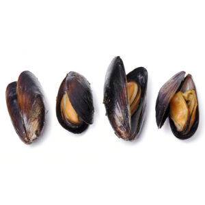 Choritos enteros con concha- 500 grs